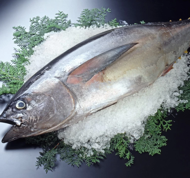 青森県大間産 天然本マグロ（クロマグロ）赤身 1柵200g