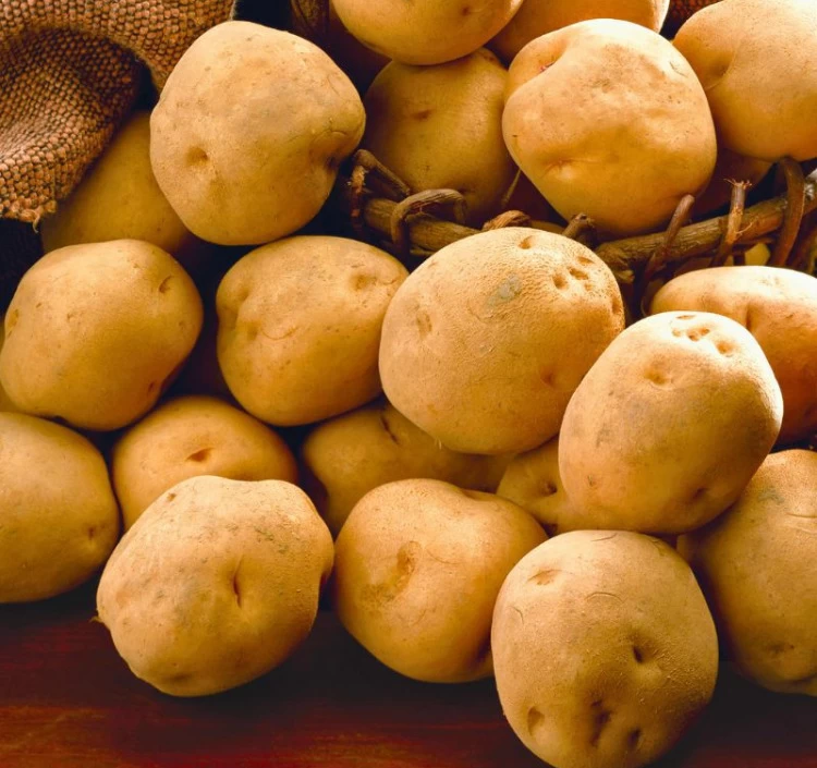 北海道産 きたあかりコロッケ 60個(20個×3袋)