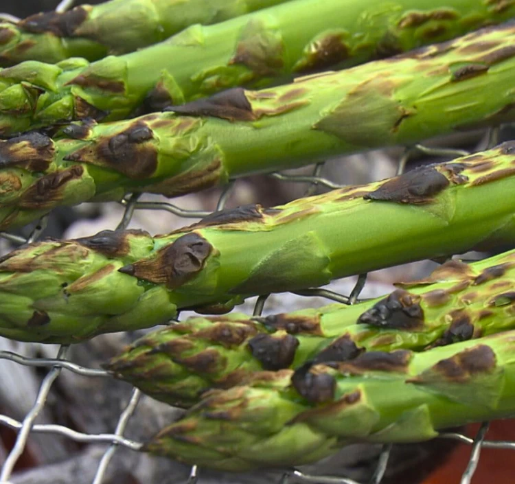 北海道産 朝摘み春アスパラ 〈家庭用訳あり〉 1kg(サイズ無選別/30～70本前後） 小松さんちのアスパラを中心に厳選！