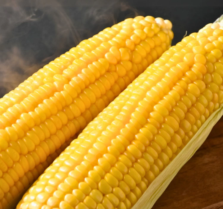 福岡県産 秋山さんちの極甘とうもろこし〈ゴールドラッシュ〉特大サイズ10本セット(1本350g以上)