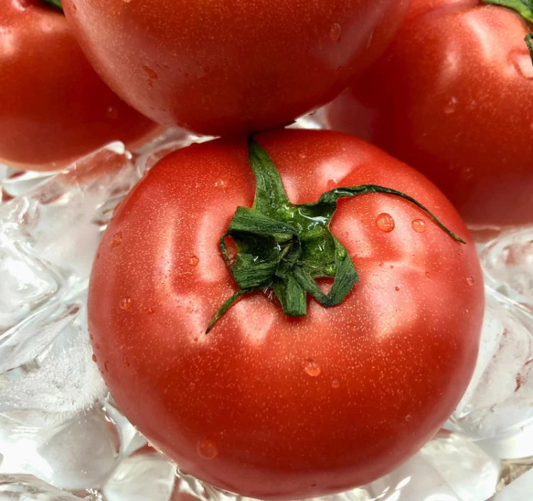 北海道産 スーパーフルーツトマト〈北の極み〉1kg(9~12玉入り)