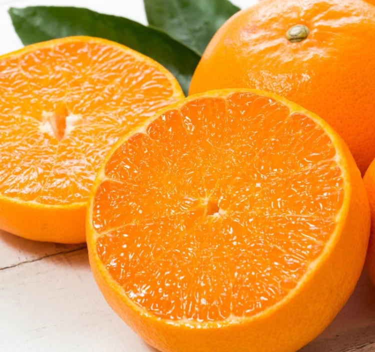 愛媛県産 せとか みかん 5kg 家庭用訳あり L～3Lサイズ（約16～27玉）