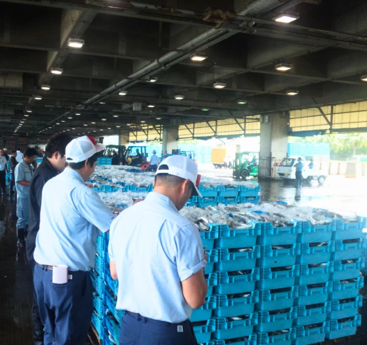 長崎県産 アジフライ 12枚セット