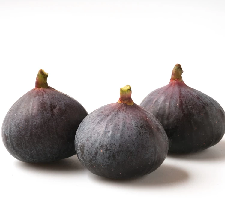 長崎県大村産 高見さんちの黒いちじく ビオレーソリエス 約1kg（250g×4パック）