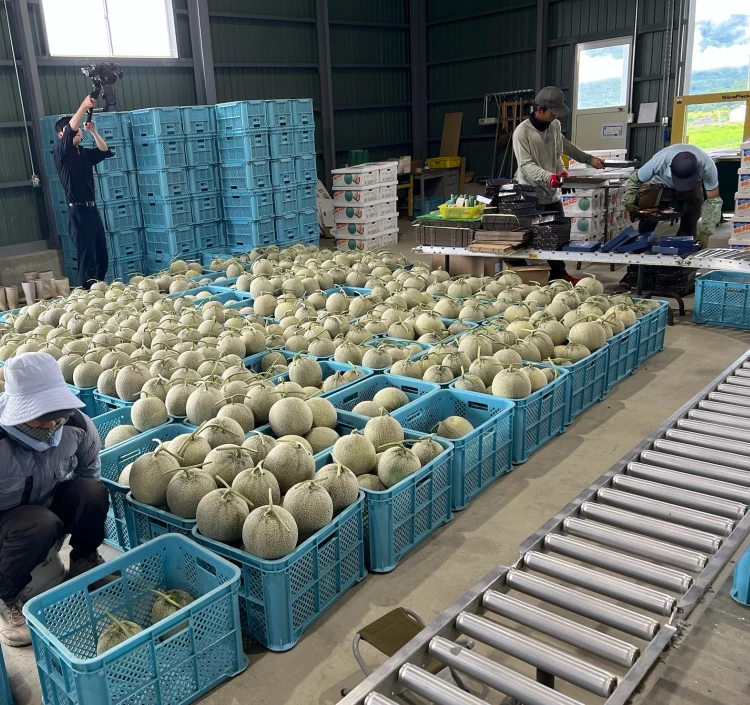 北海道産 中山さんちの富良野メロン 赤肉メロン 特大2kg×1玉（常温）