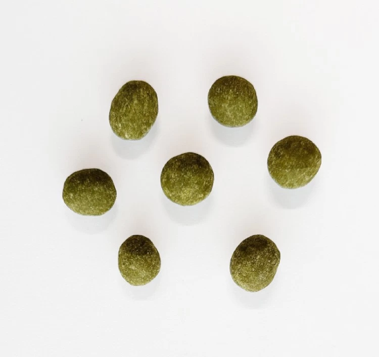 ギフト花七宝2000 農薬不使用煎茶1個、お茶うけ2個