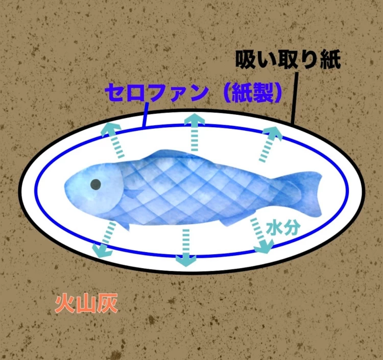 “レンチン” 灰干しサバ（２切れ）