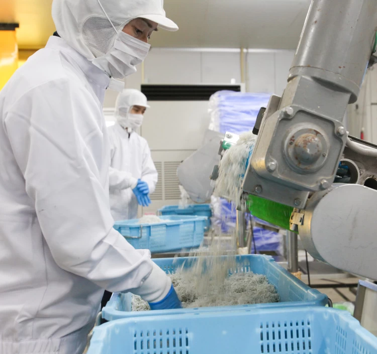 釜あげしらす(箱) ６７０ｇ