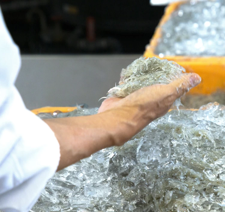 釜あげしらす(箱) ６７０ｇ