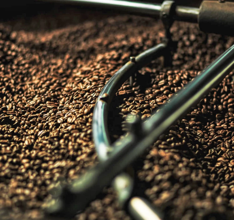 季節のドリップバックコーヒーセット30p入