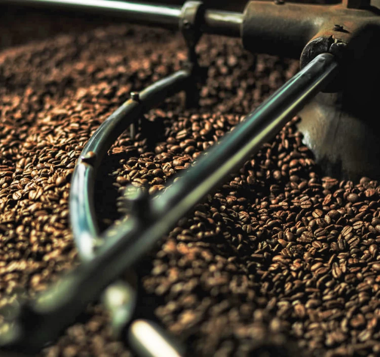 デカフェ　バリアラビカ神山　100g