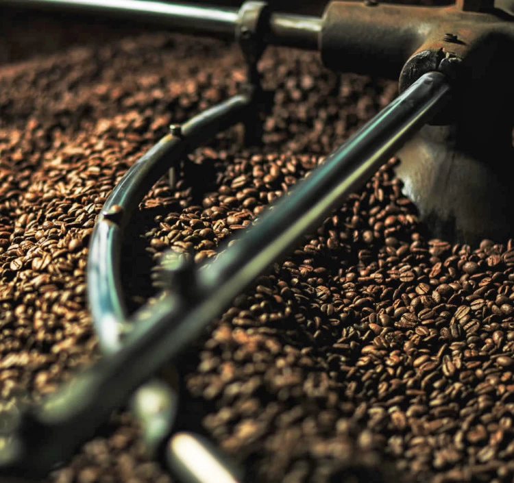 JAS有機認証　ブラジル100%　100g