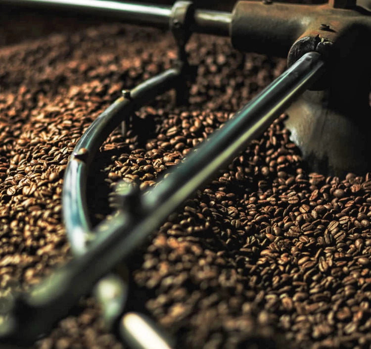 JAS有機認証　グァテマラ100%　100g