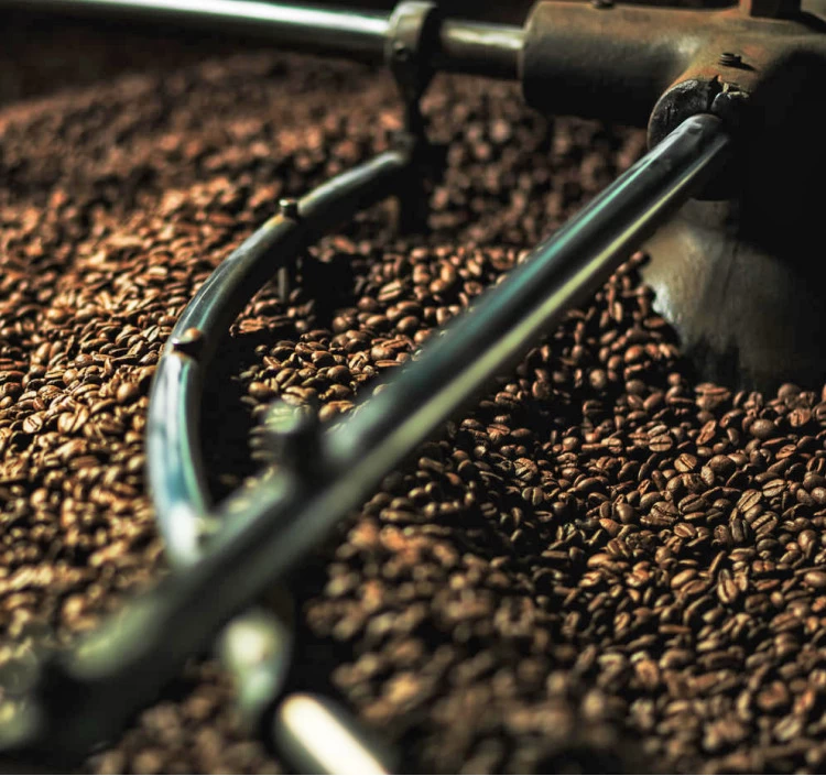 JAS有機認証　コロンビア100%　100g