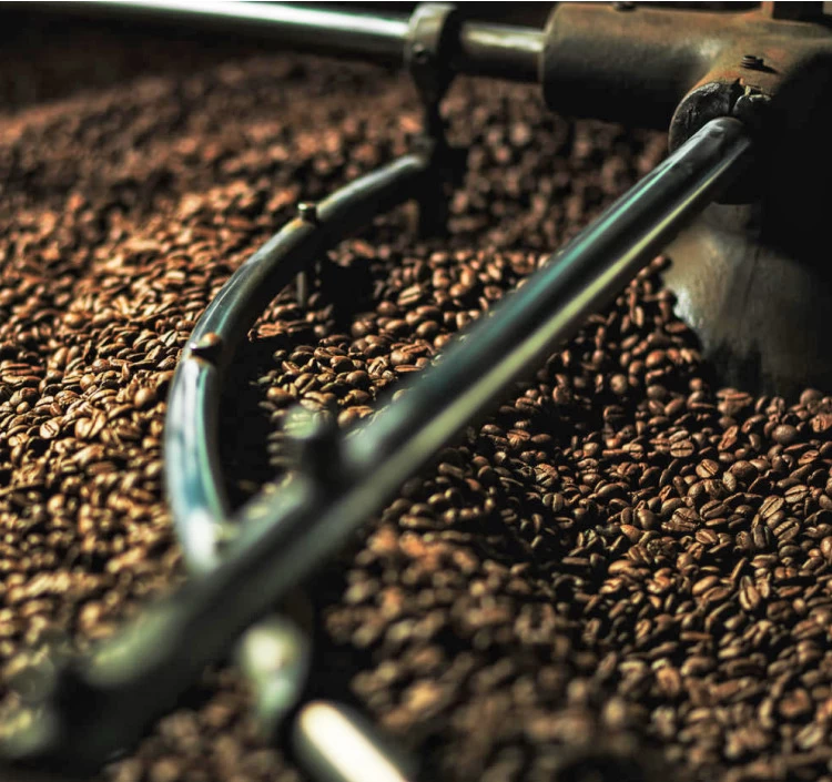 JAS有機認証　ブラジル100%　ドリップバッグコーヒー5P入