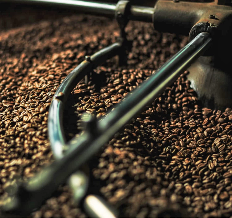 JAS有機認証　グァテマラ100%　ドリップバッグコーヒー5P入