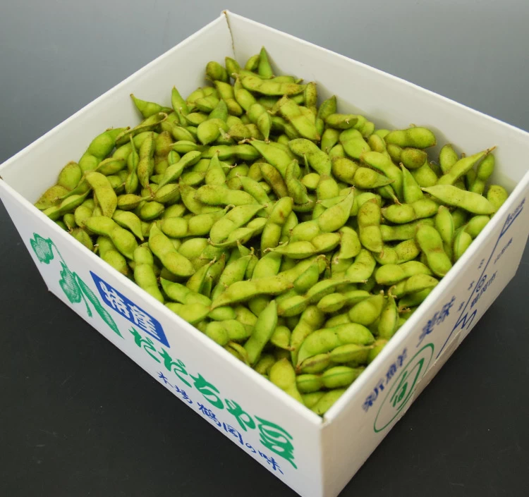 令和7年産一番採れ【初物だだちゃ豆 限定300㎏】神農家の厳選だだちゃ豆