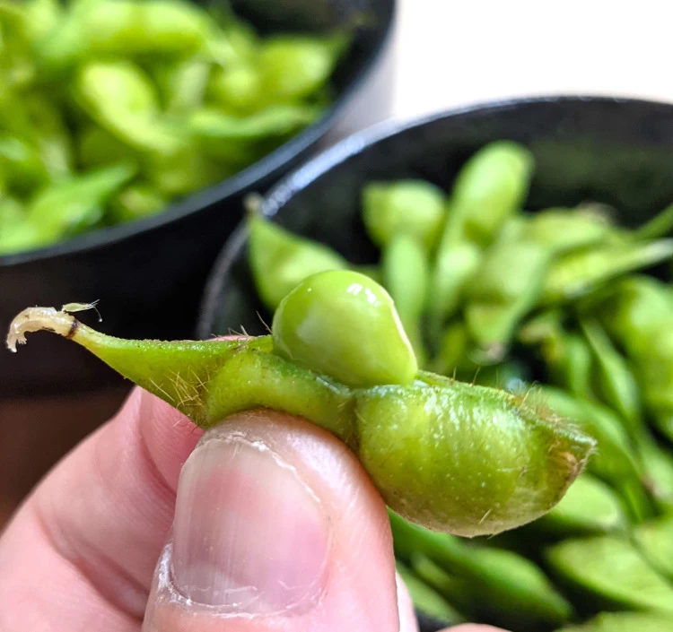 <一年中食べれる!>冷凍だだちゃ豆小分けパック