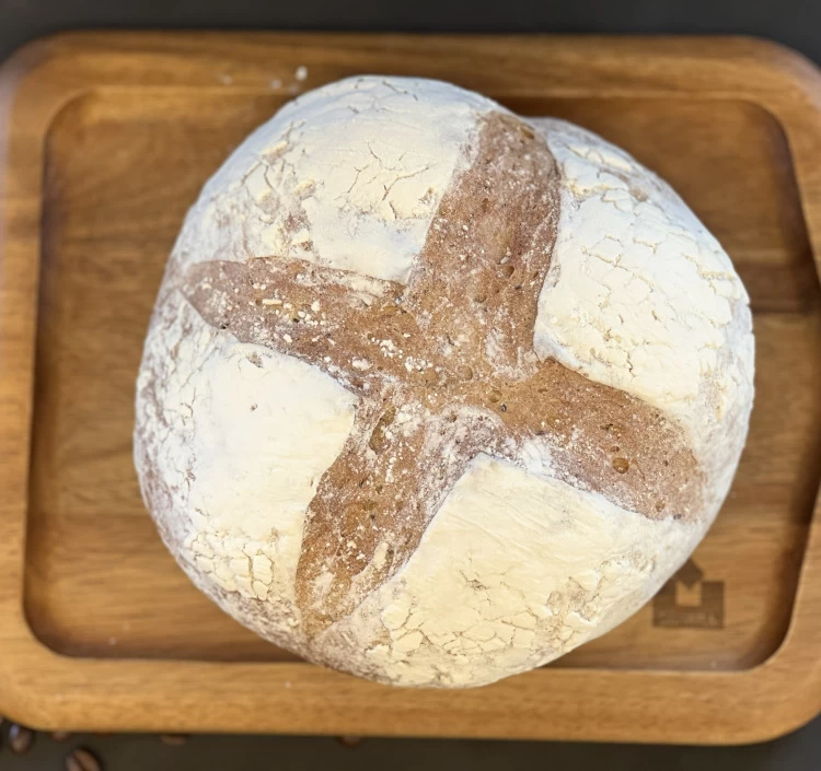 コーヒーニブカンパーニュ