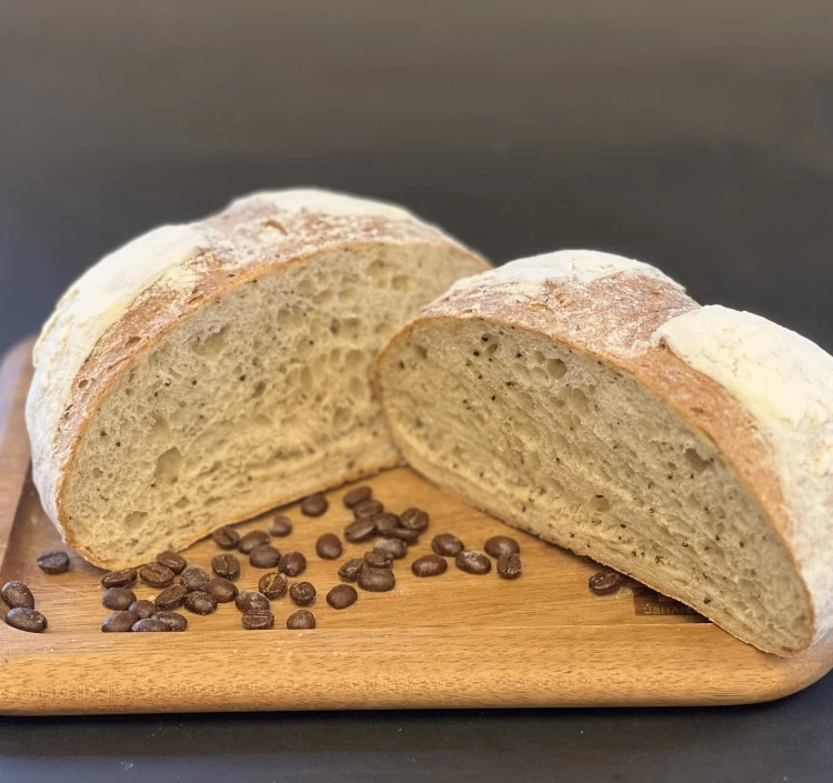 コーヒーニブカンパーニュ