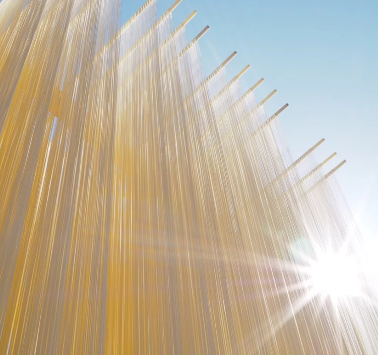 島の夢 手延べそうめん 緑金 800g〈香川県産小麦100％使用〉