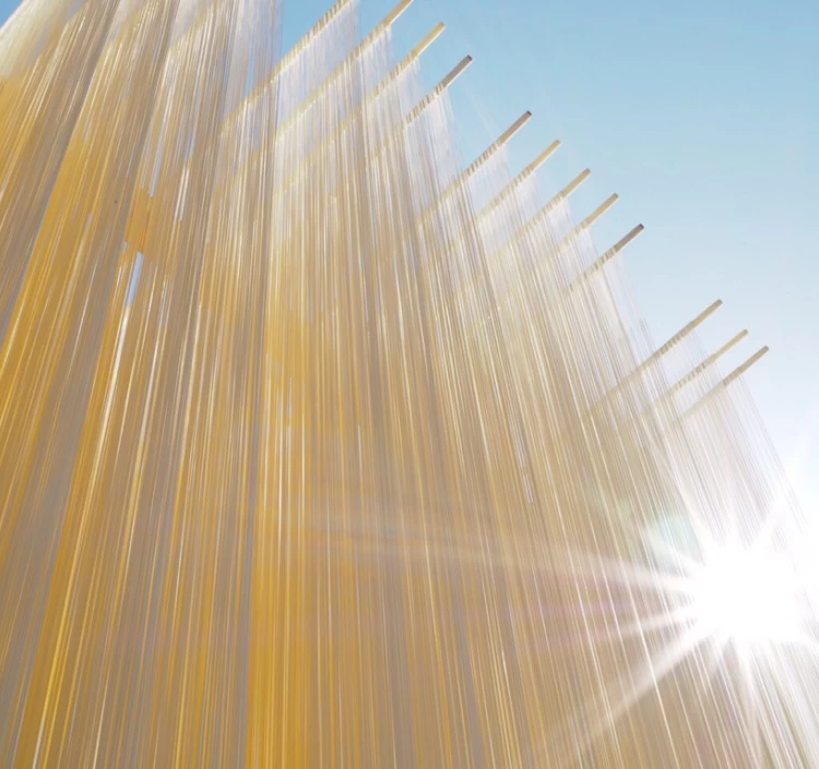 島の光 手延べそうめん 赤帯 2㎏