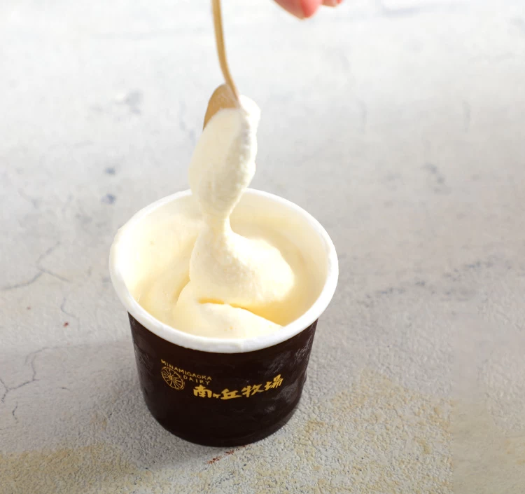 ガーンジィゴールデンアイスクリーム(12個セット)