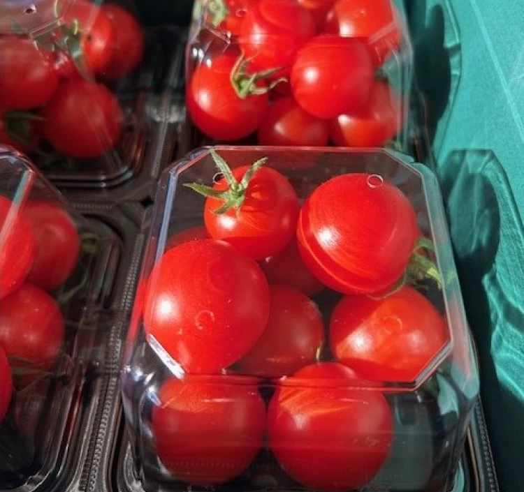 贈答用・常陸太陽の庭の高糖度スペシャルフルーツトマト・オリジナルショッパー付