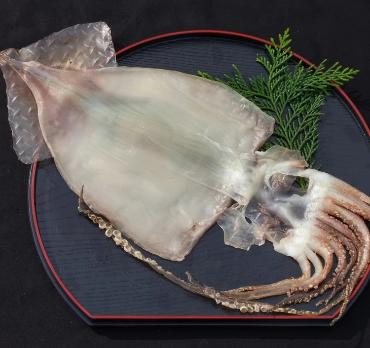 干物セット（松）送料無料 ギフト 贈答用 お歳暮 お中元 特選干物詰め合わせ