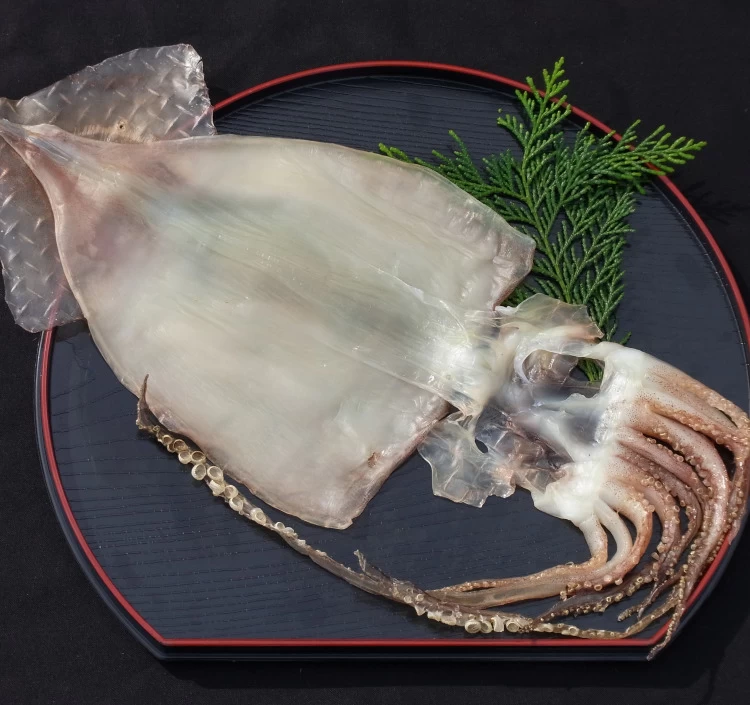 干物セット（竹）送料無料 ギフト 贈答用 お歳暮 お中元 特選干物詰め合わせ