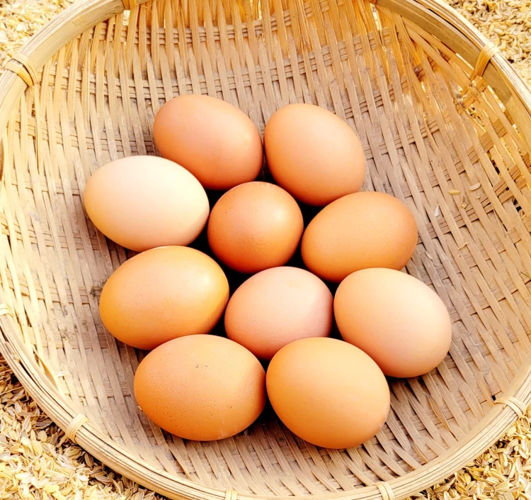 「こだわり新鮮たまご」~大切な方への贈り物にも~ 30個入セット(税・送料込)