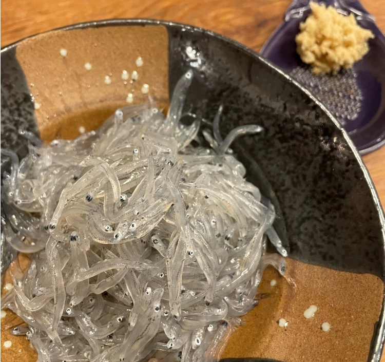 【小田原産】朝どれ生しらす