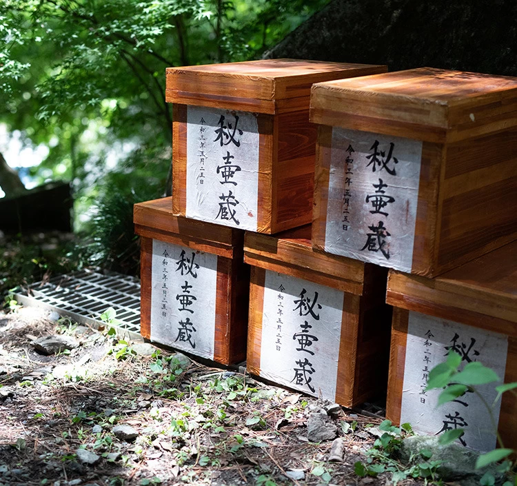 トンネル熟成茶 秘壷蔵