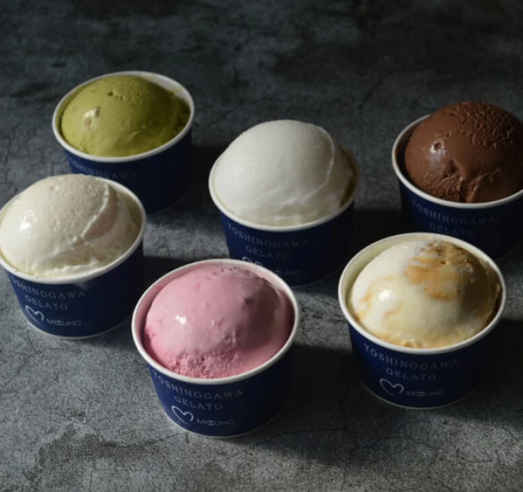 吉野川ジェラート12個入