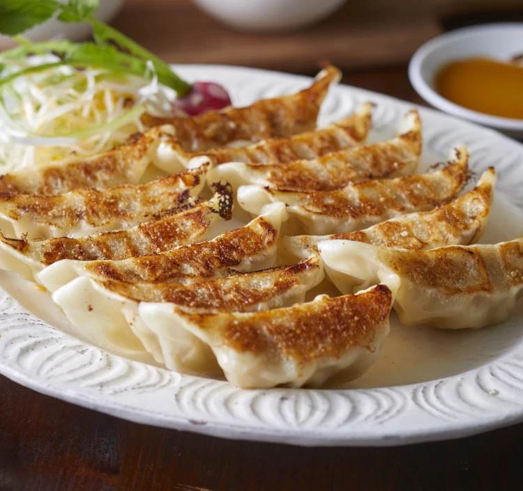 霧島黒豚肉餃子6パックセット