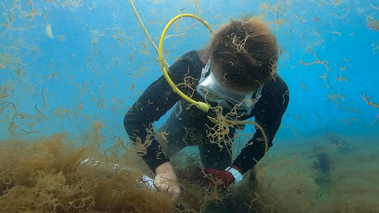 【送料込】宮古島産生もずく4パックセット　