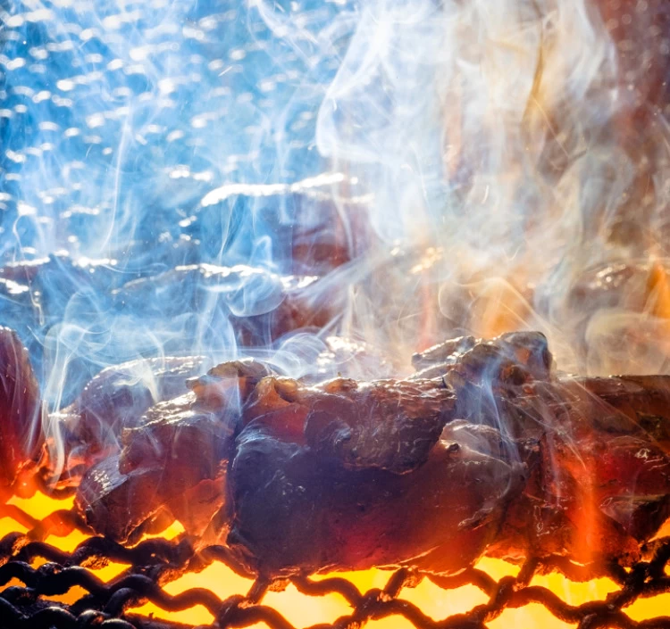 宮崎名物 親鶏 もも炭火焼[100g×7袋]