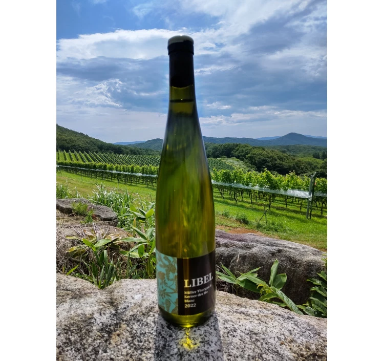 リベルミュラートゥルガウ&ケルナーdesHo2022