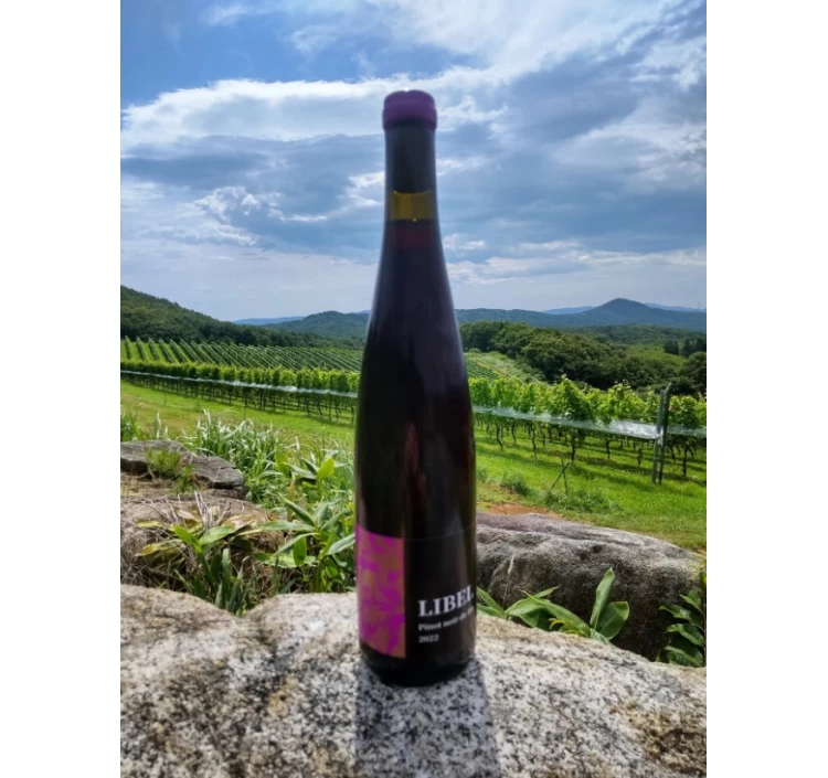 リベルピノノワールdeHo2022