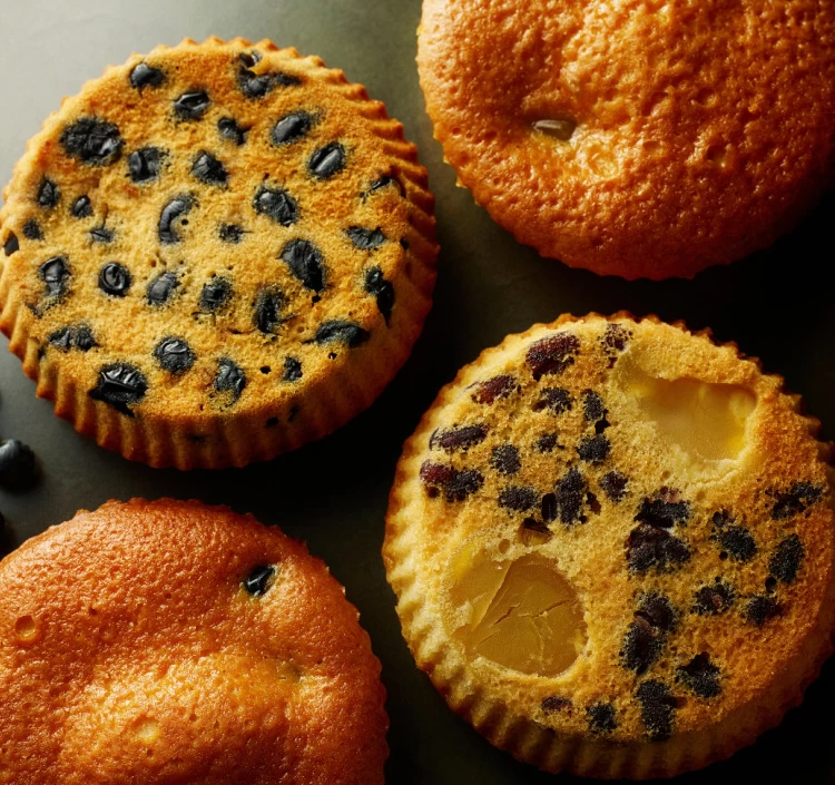 丹波極上マドレーヌ 6個セット