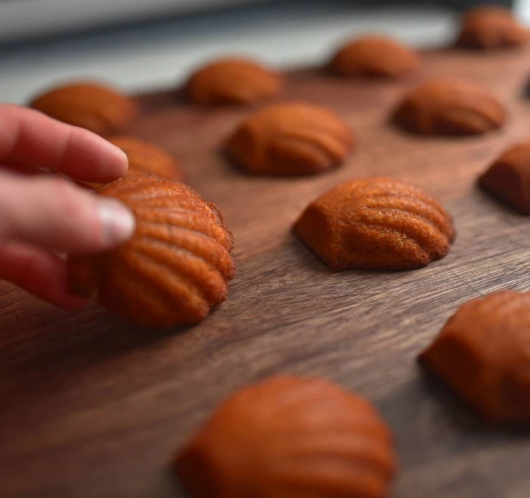 マドレーヌ　プレーン