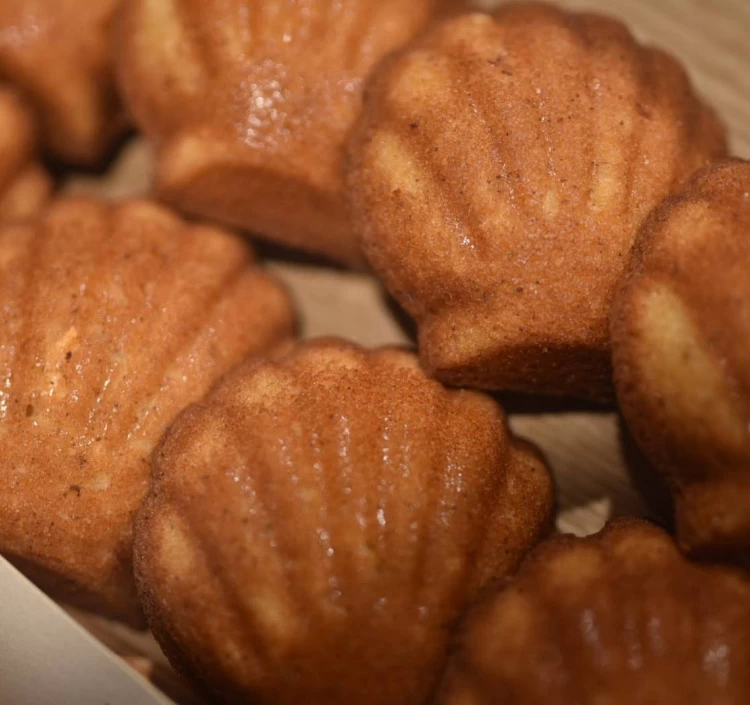 マドレーヌ 抹茶