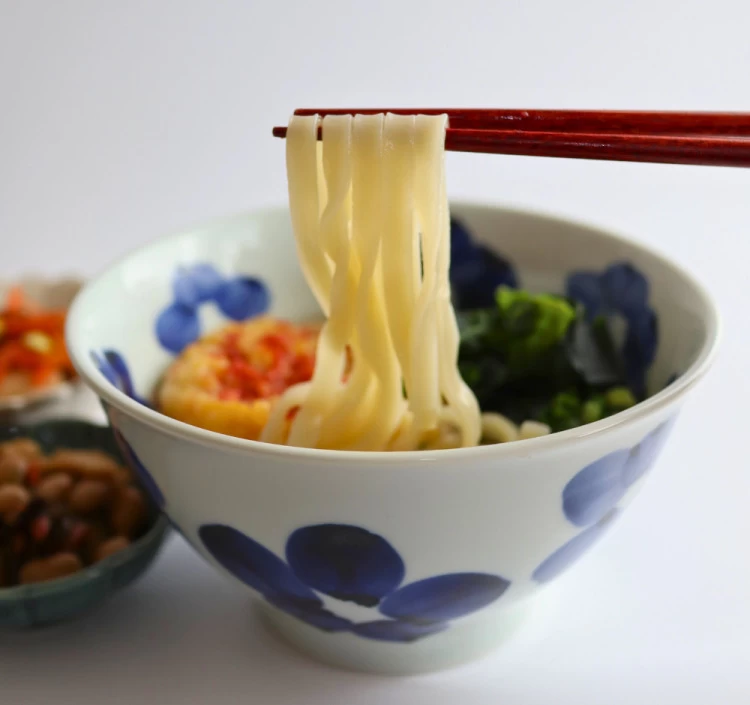 もっちり生うどん４食セット（つゆ付）