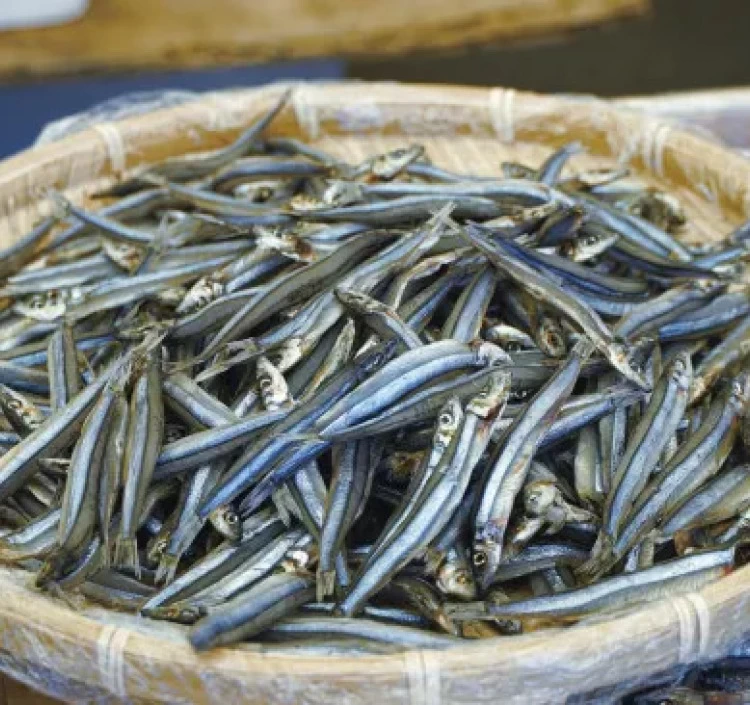 自家製干物セットA