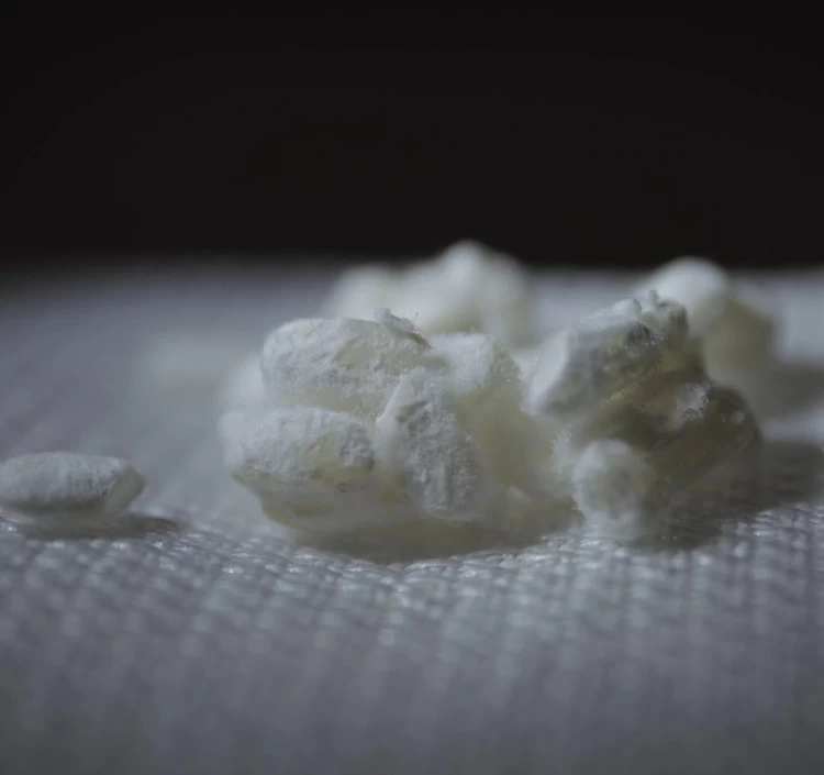 こしひかり　500gカップ