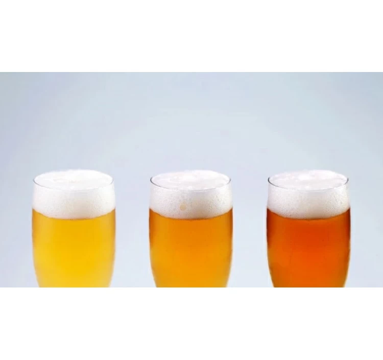 地域が生んだクラフトビール6本セット