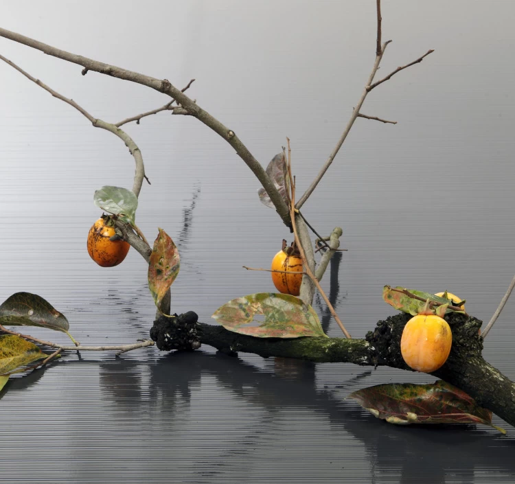 西条柿ミルフィーユ