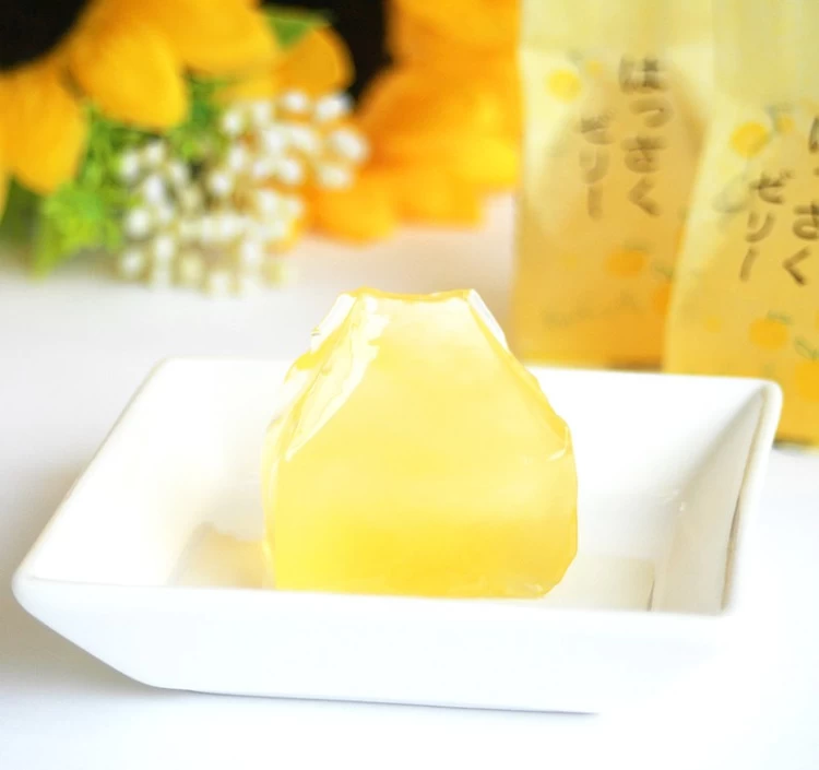 瀬戸内はっさくゼリー