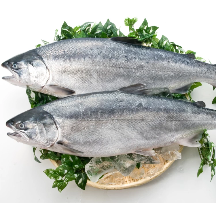 みやぎサーモン スモーク【送料込】