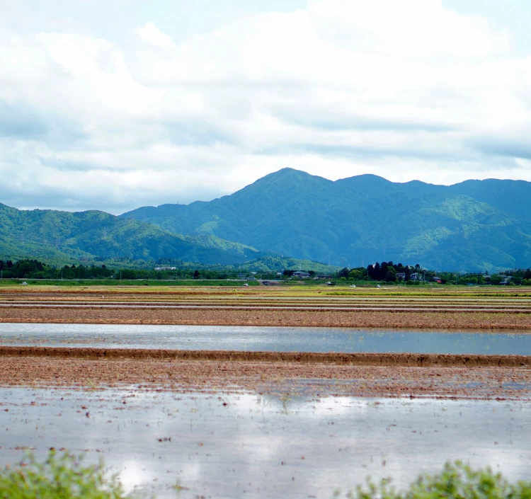 あがの姫牛ヒレステーキ3枚入